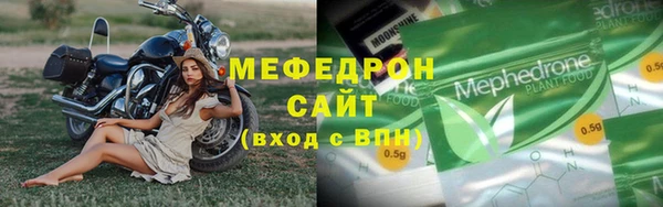 индика Инта