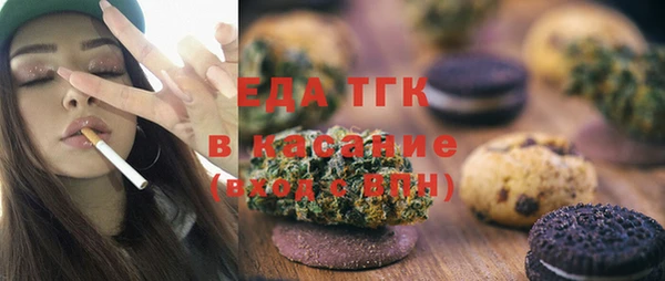 индика Инта
