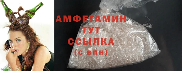 индика Инта
