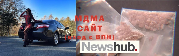 индика Инта