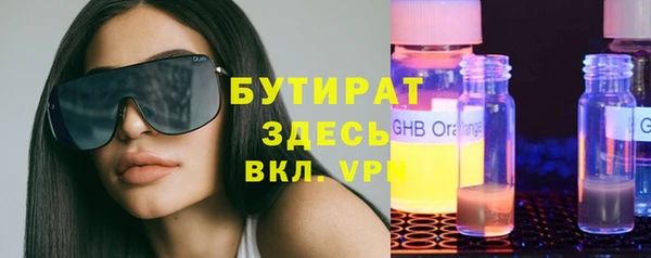 индика Инта