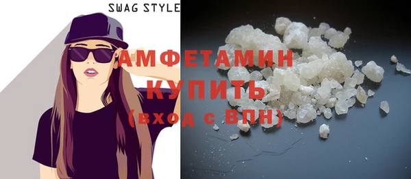 индика Инта
