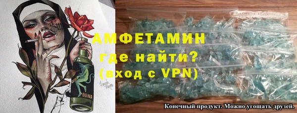 индика Инта