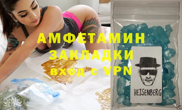 индика Инта