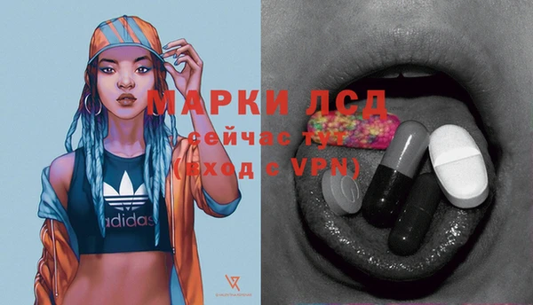 индика Инта