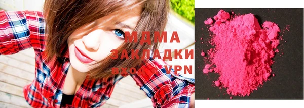 индика Инта