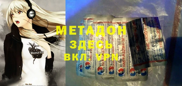 индика Инта