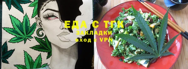 индика Инта