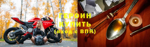 индика Инта
