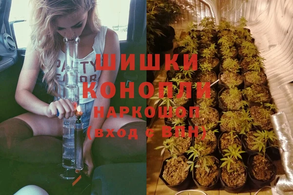 индика Инта