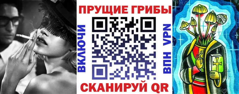 Купить закладки  Дубна  Псилоцибиновые грибы Psilocybine cubensis 